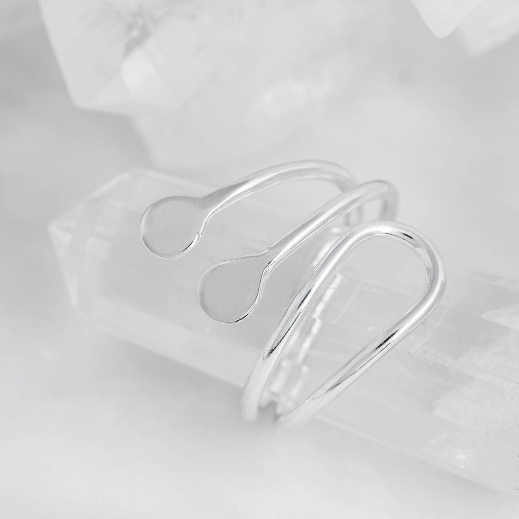 Tidal Torque Ring
