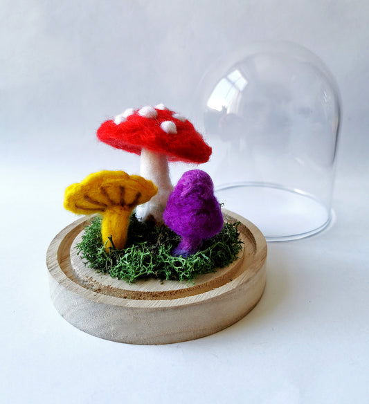Create a Needle Felted Toadstool Dome - 20/9/2025
