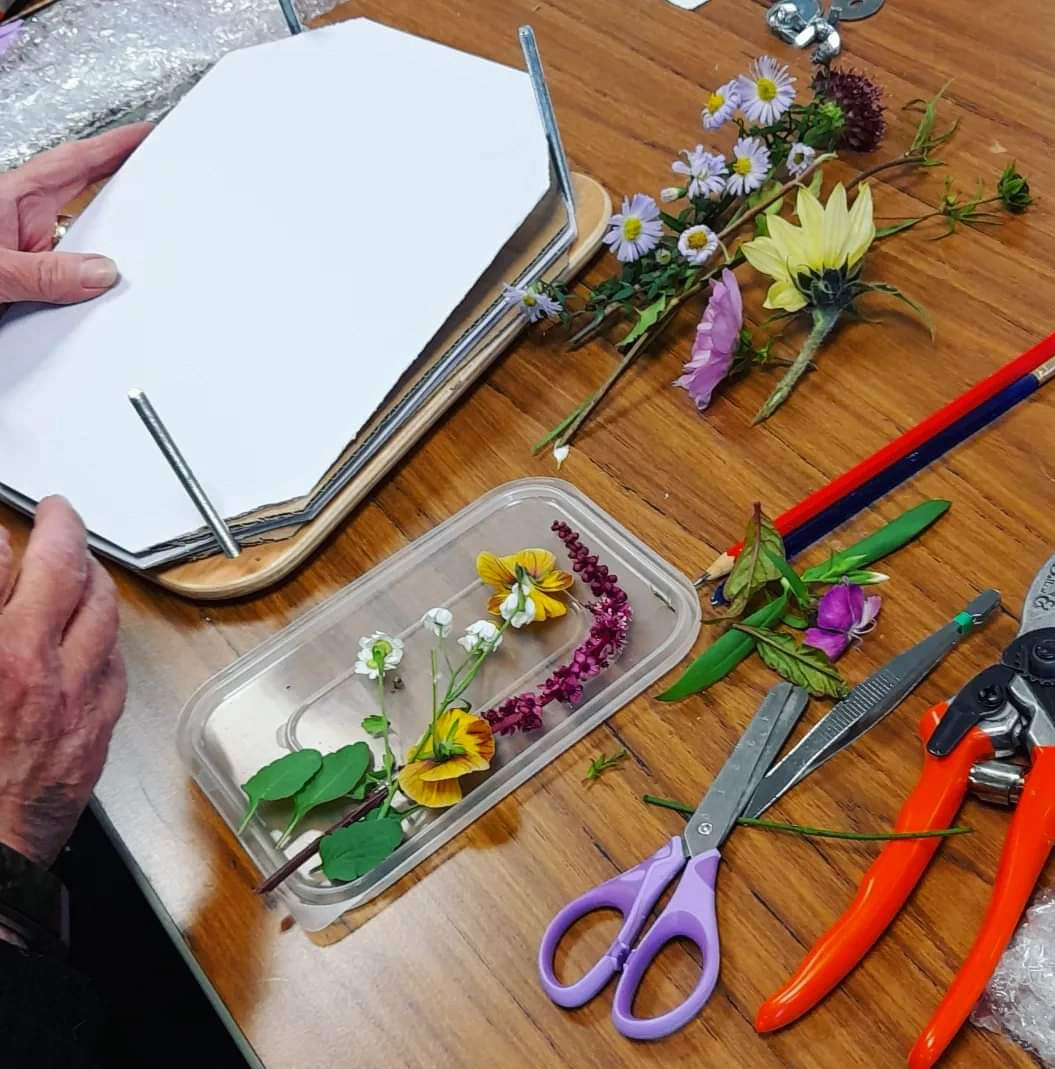 Create A Pressed Flower Herbarium 31/05/25