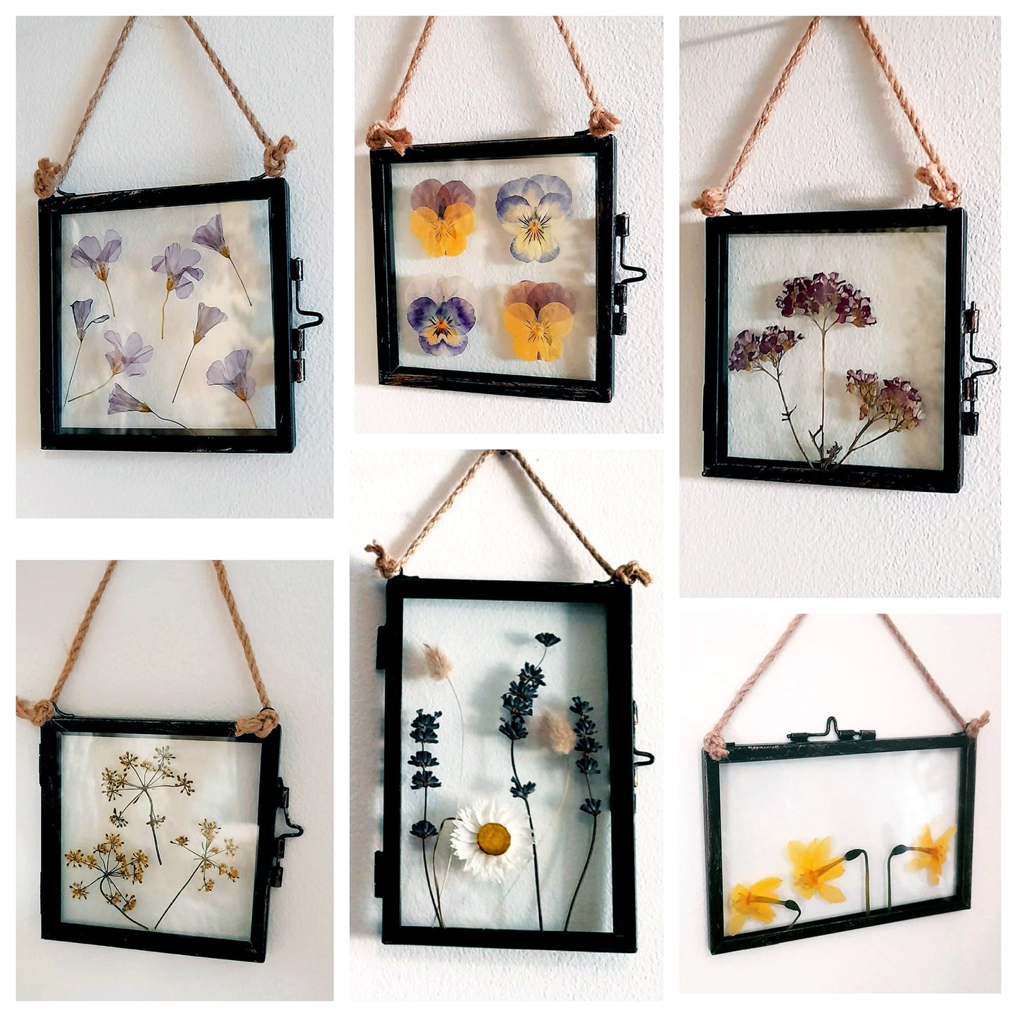Create A Pressed Flower Herbarium 31/05/25