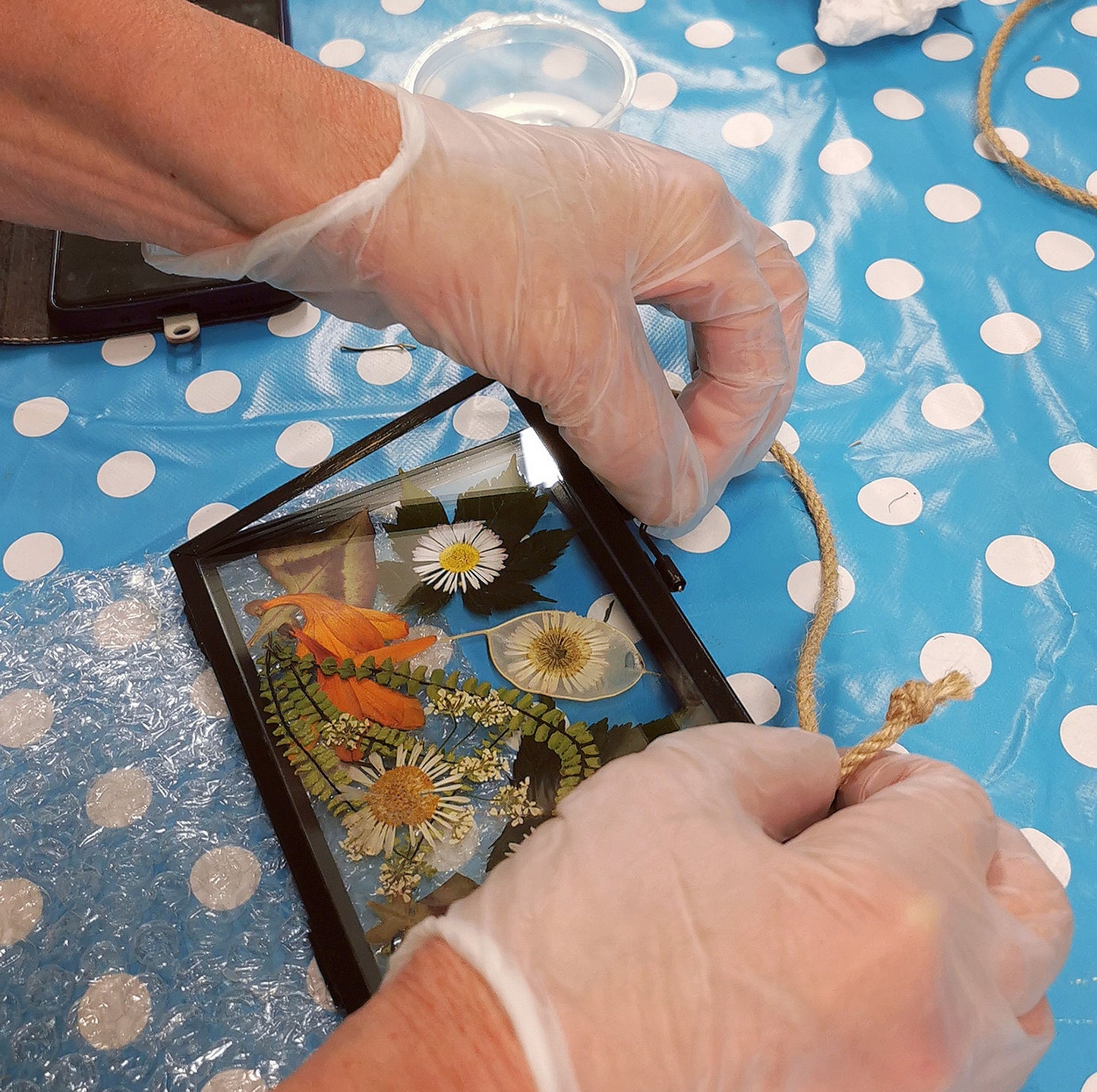 Create A Pressed Flower Herbarium 31/05/25