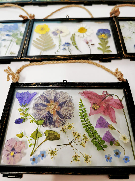 Create A Pressed Flower Herbarium 23/8/2025